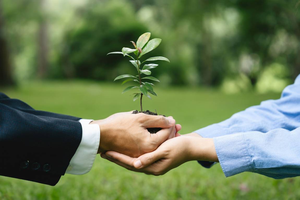 ©istock.com/Khanchit Khirisutchalual Zwei Personen halten eine kleine Pflanze zusammen und halten die Erde in ihren Händen. Eine Person trägt einen Anzug, die andere ein blaues Hemd. Grüner, unscharfer Naturhintergrund.