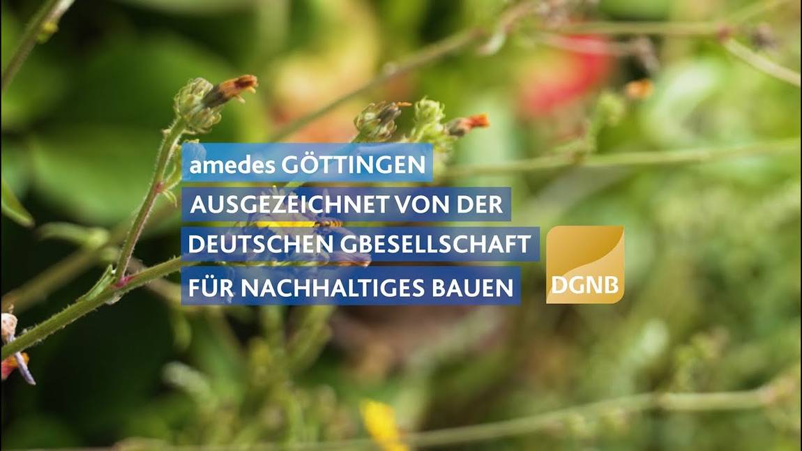 Ein unscharfer Hintergrund mit grünen Pflanzen und blauen Kästen mit deutschem Text, der besagt, dass amedes Göttingen von der Deutschen Gesellschaft für Nachhaltiges Bauen ausgezeichnet wurde, sowie ein gelbes DGNB-Logo auf der rechten Seite.